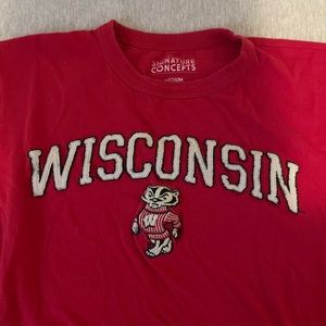 wisconsin badgers tee